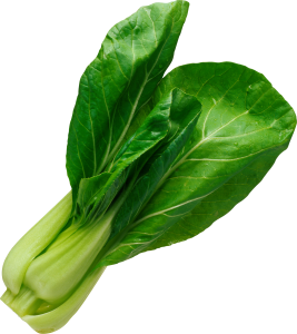 Salad leaf PNG image-2819